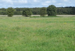 vignette image de ce territoire de chasse à la journée en Sologne