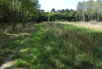 vignette image de ce territoire de chasse à la journée en Sologne