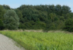 vignette image de ce territoire de chasse à la journée en Sologne