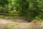 vignette image de ce territoire de chasse à la journée en Sologne