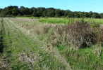 vignette image de ce territoire de chasse à la journée en Sologne